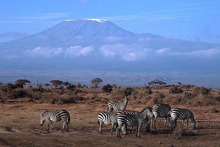 15 Days Classic Kenya & Tanzania + Zanzibar Beach Holiday