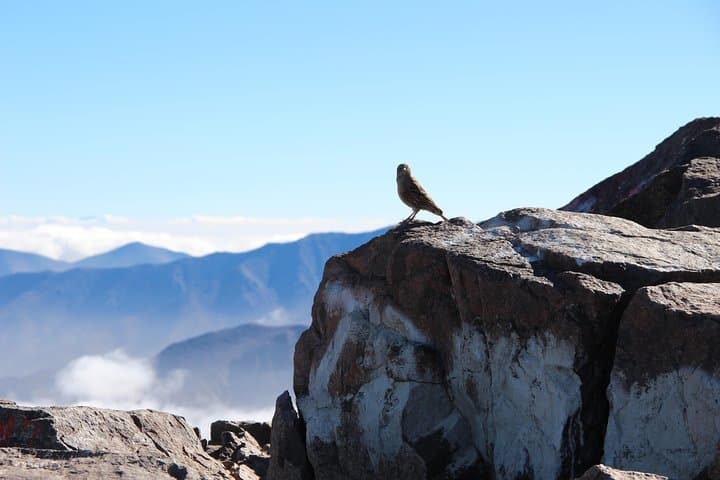 2 days Toubkal trek