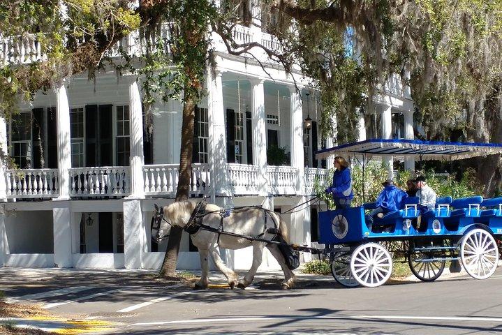 #1 Historical Horse Drawn Carriage Tour