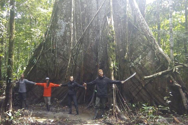 Pacaya Samiria Mystical 3 Days