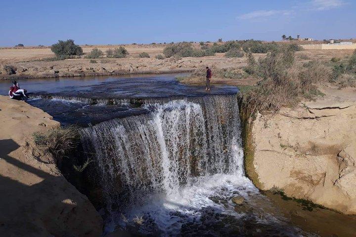 over day safari trip to whales valley fayoum oasis