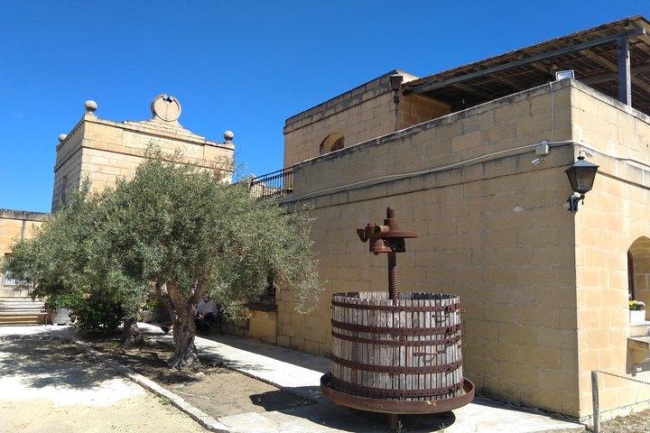 Malta Private tour: 5hr Mosta Dome, Mdina, Dingli Cliff's & Blue Grotto