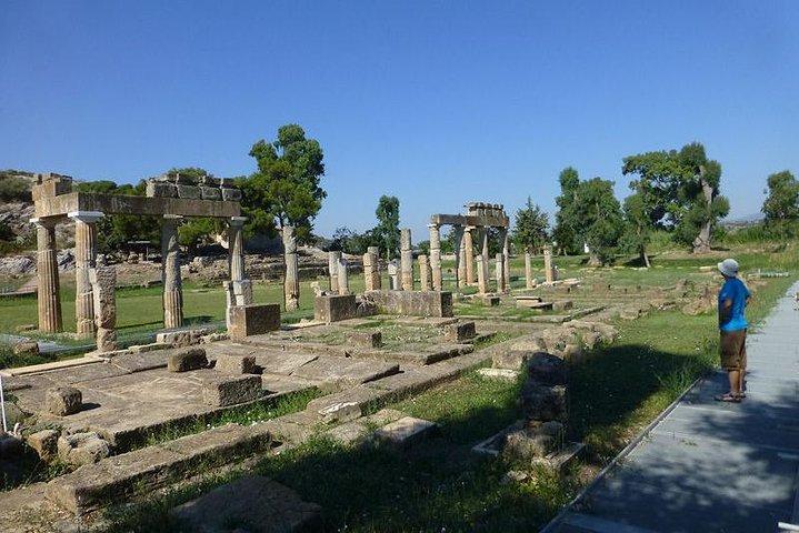 Temple of Artemis-Brauron Half Day Private Tour 4 seat