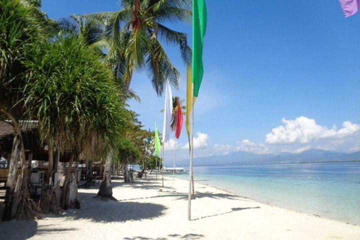 Private Puerto Princesa Luli, starfish, cowrie island excursion