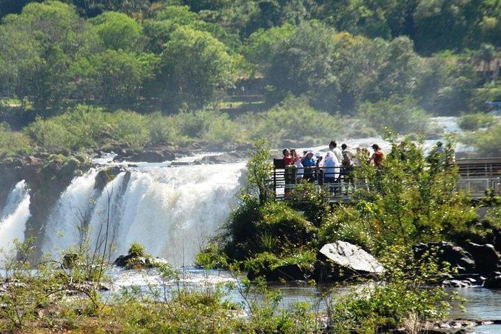 Iguazu Falls from Buenos Aires Cruise Terminal or Downtown Hotel - no flights