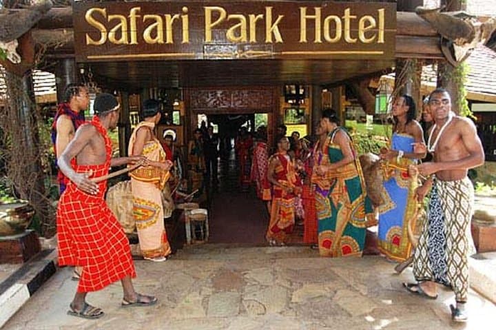Nairobi dinner and safari cat dancers