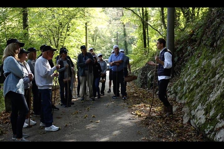 Mushroom or Truffle Hunting