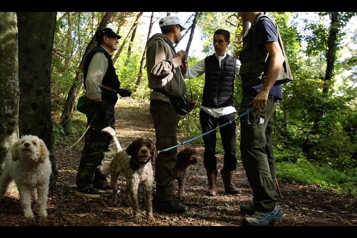 Mushroom or Truffle Hunting