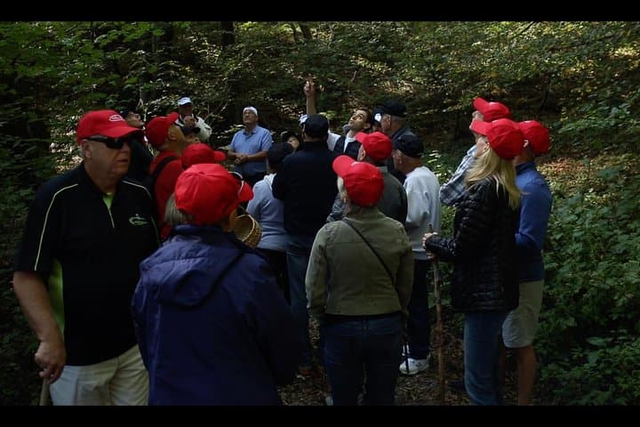 Mushroom or Truffle Hunting
