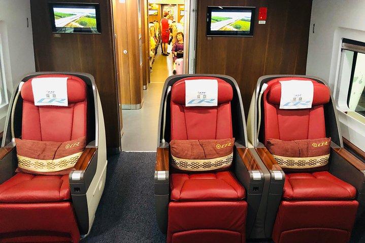 Private Day Trip to Terracotta Army from Beijing by Bullet Train