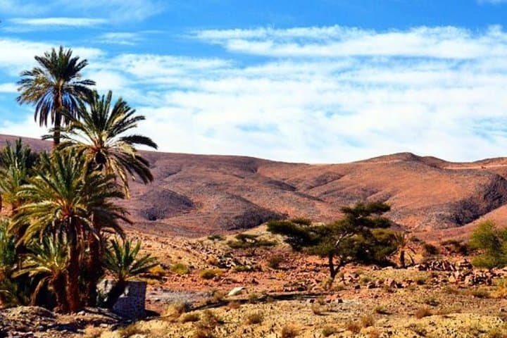 2 Days 1 Night Amazing Zagora Desert Tour From Marrakech