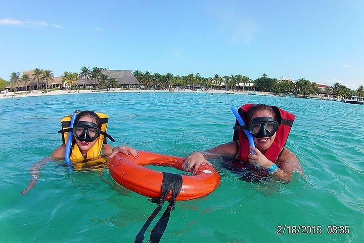 Swim with sea turtles
