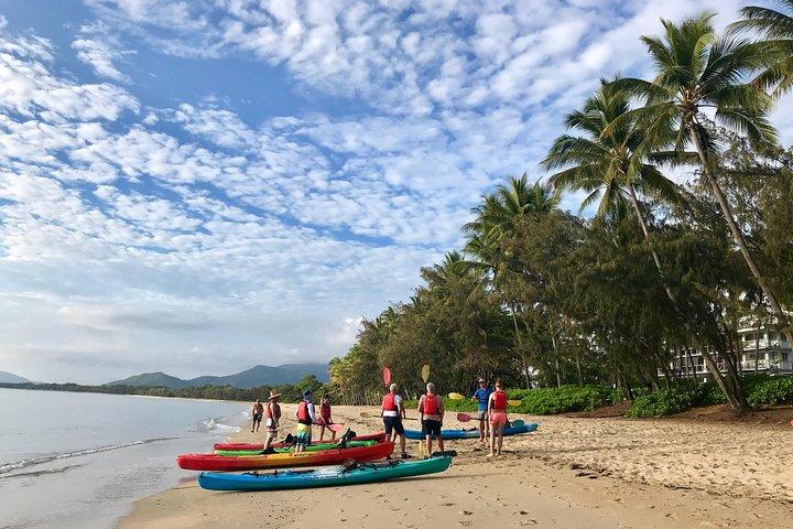 Kayak Turtle Tour from Palm Cove
