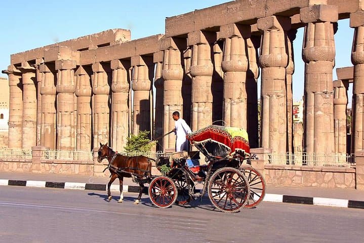 3-Hour Private Luxor Horse Carriage City Tour
