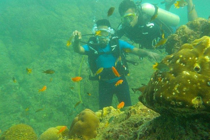 Scuba Diving For Non Swimmers at Havelock Island