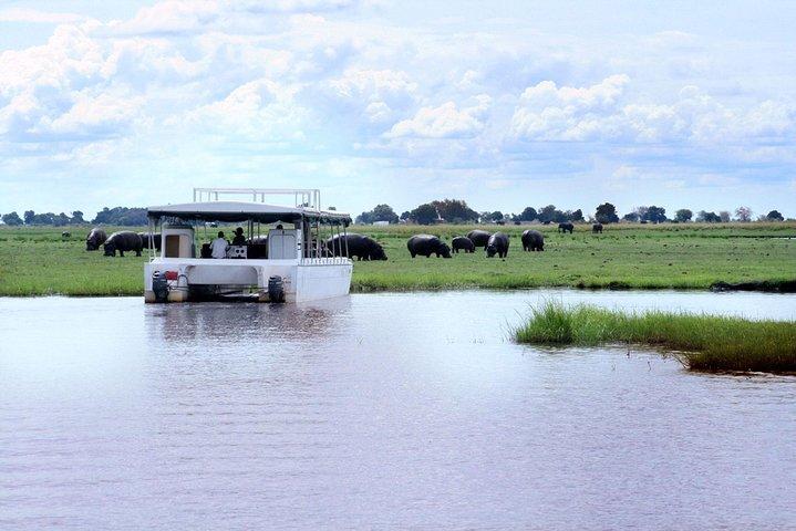 Chobe River Game Cruise
