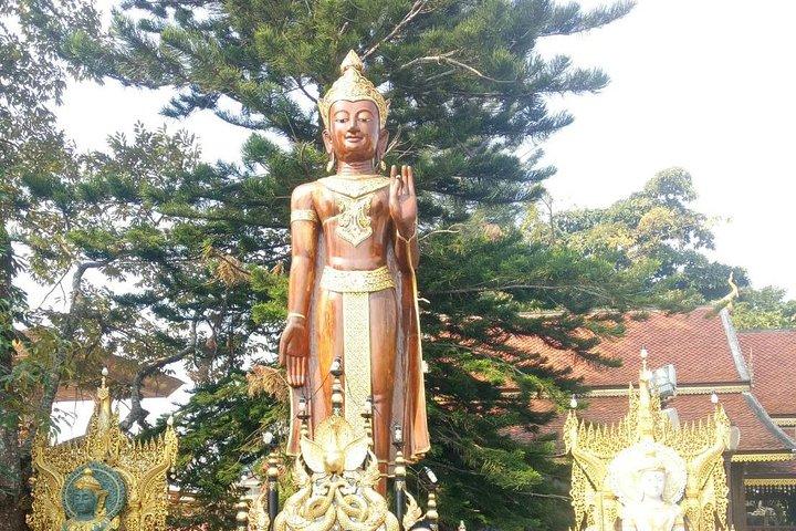 Chiang Mai Private Tour with Tea Plantation, Karen Village, Doi Suthep
