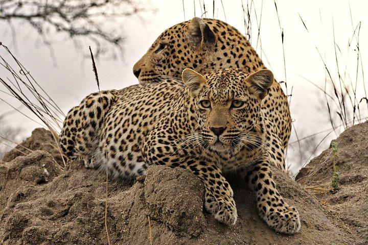 3 days camping safari