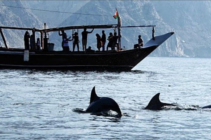 Small-Group Day Trip from Dubai to Musandam, Oman with Lunch