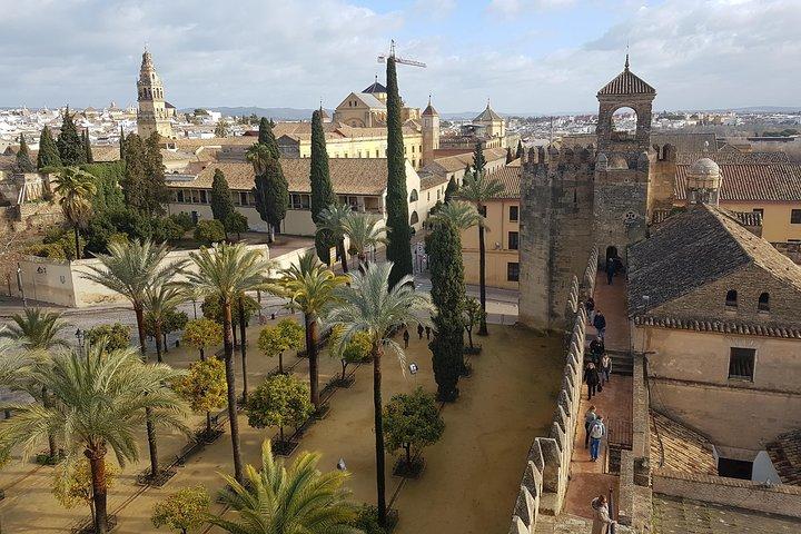 Cordoba Private Tour with Mosque Entrance from Seville