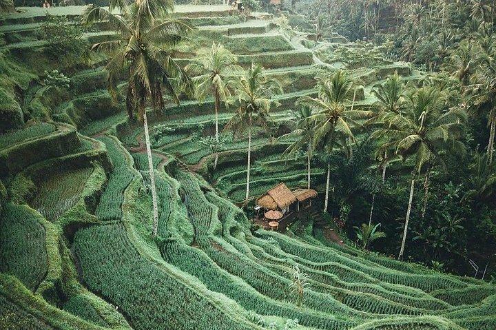 Bali Tour Customized With Local Guide