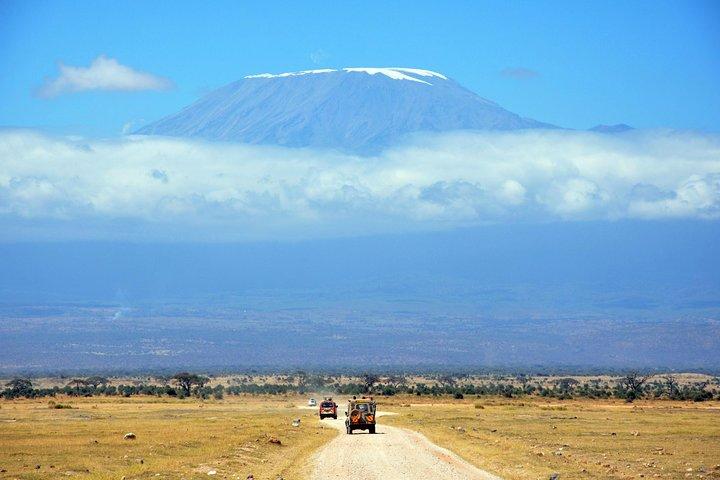 Day trip to Kilimanjaro Hike to Mandara Hut