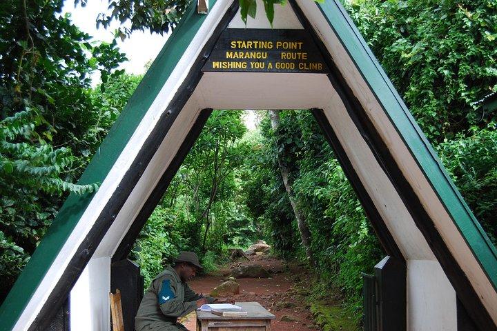 Day trip to Kilimanjaro Hike to Mandara Hut