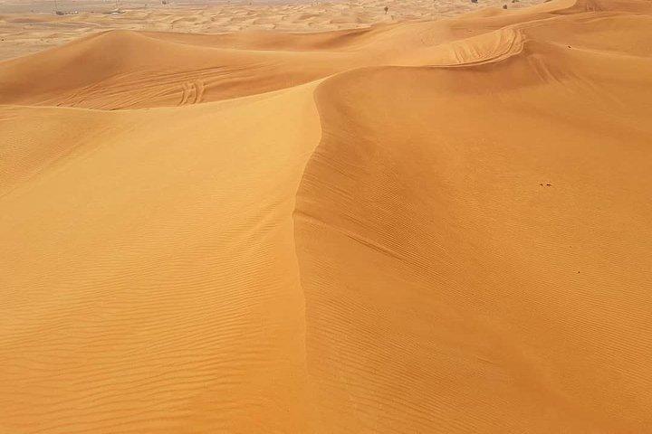 Arabian Night Safari with Camel Ride, Sandboard, BBQ & Live Shows