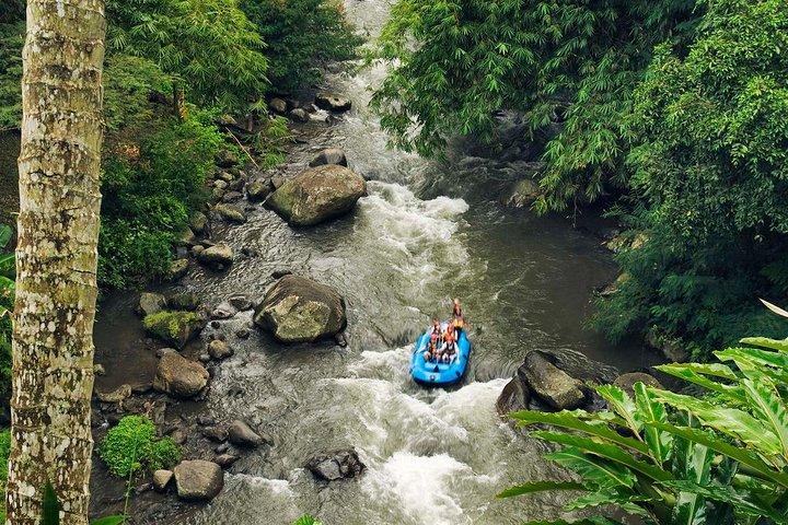 Ubud White Water Rafting with Waterfall and Lunch