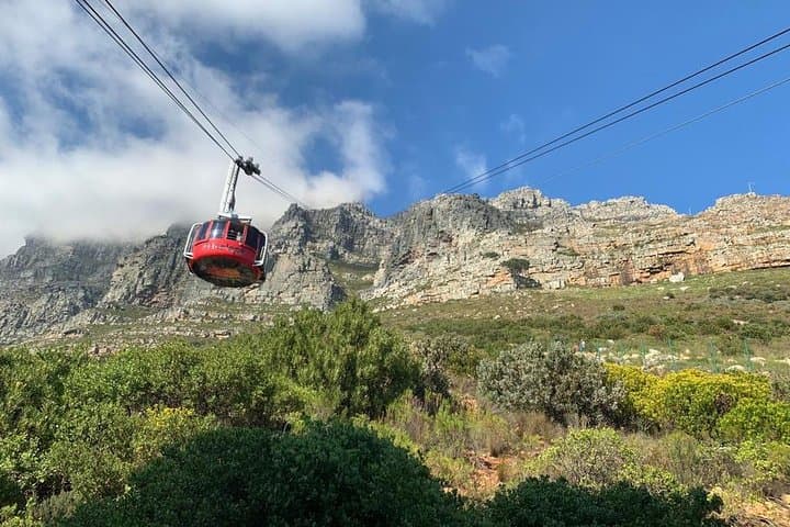 Private Tours in Cape Town
