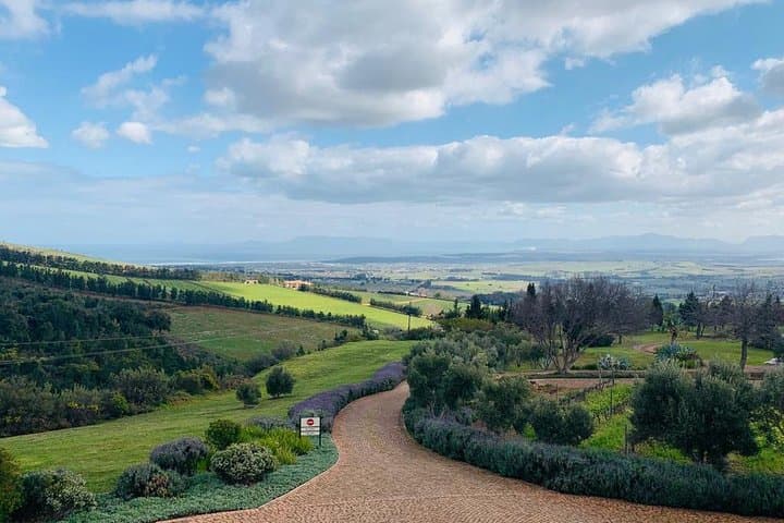 Private Tours in Cape Town