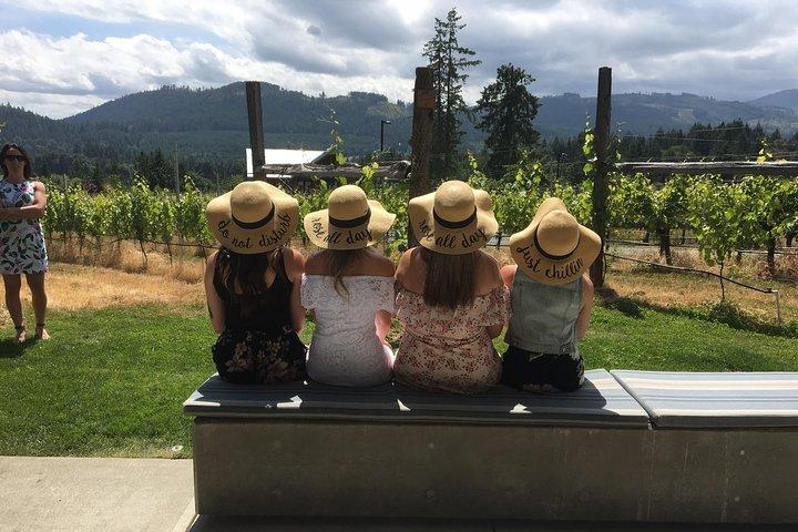 Half-Day Victoria to Cowichan Valley Wine Tour with Tastings