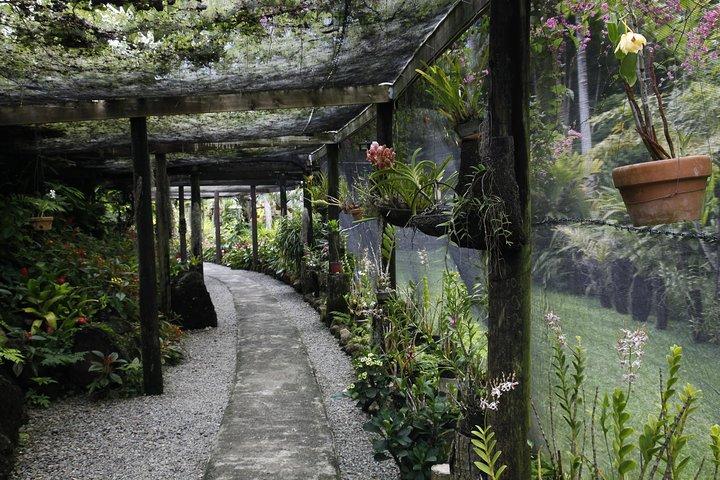 garden of the sleeping giant and mudpool tour combo