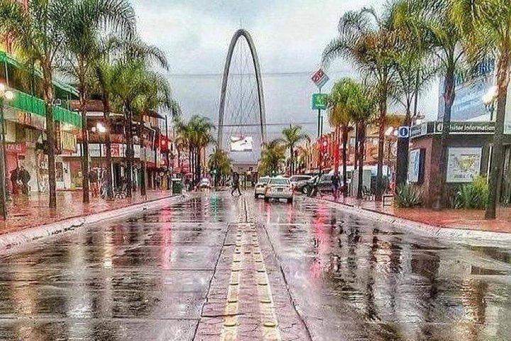 Taco Tour Tijuana/Rosarito/craft beer/Puerto Nuevo lobster