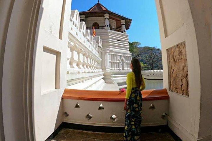 Temple of the Tooth & Royal Botanical Gardens Tour