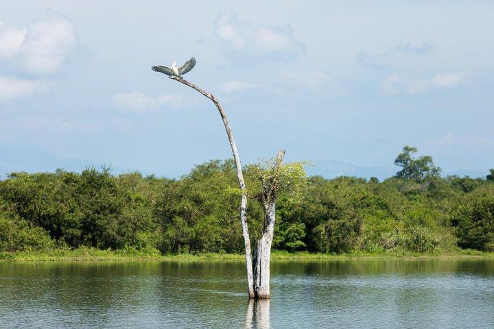 25 Days of Amazing Sri Lanka