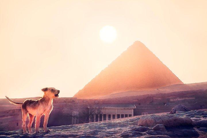 Pyramids of Giza & Sphinx & valley temple Tour with Camel Ride & Egyptian lunch
