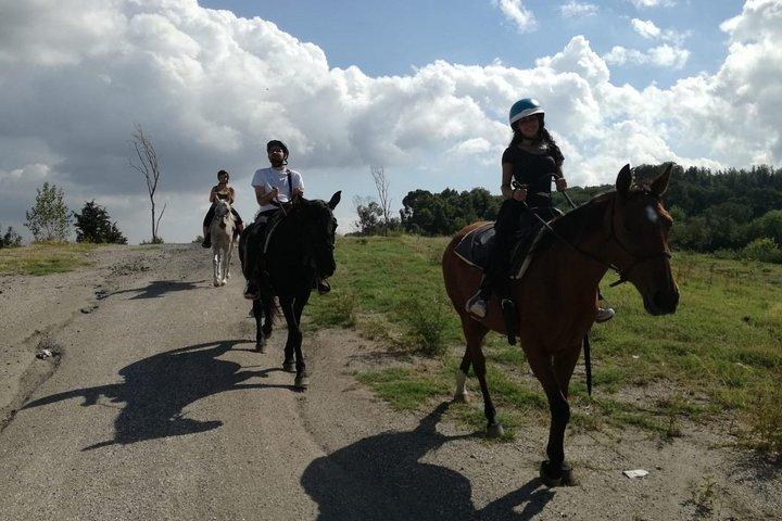 Horse Riding on Mount Vesuvius
