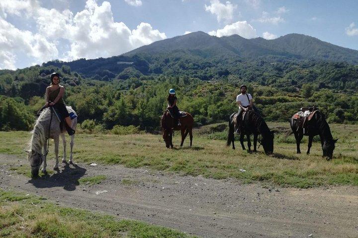 Horse Riding on Mount Vesuvius