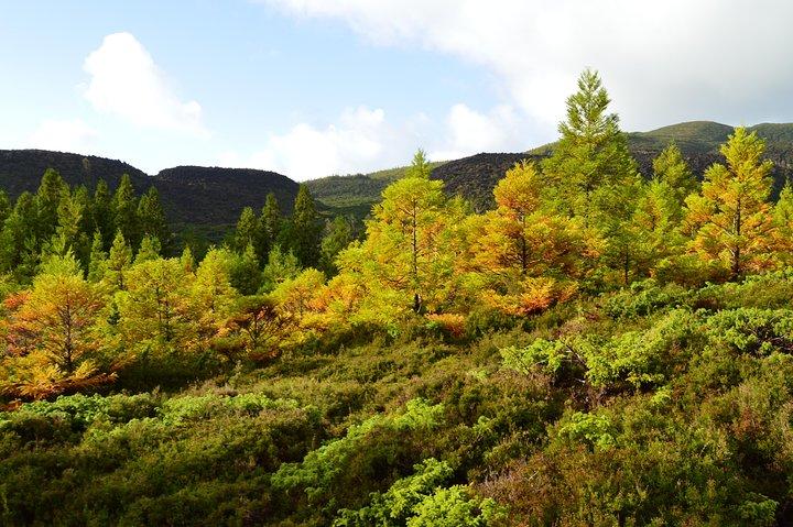 Mistérios Negros Hiking Trail - Terceira Azores