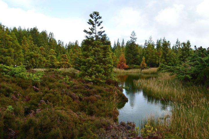 Mistérios Negros Hiking Trail - Terceira Azores