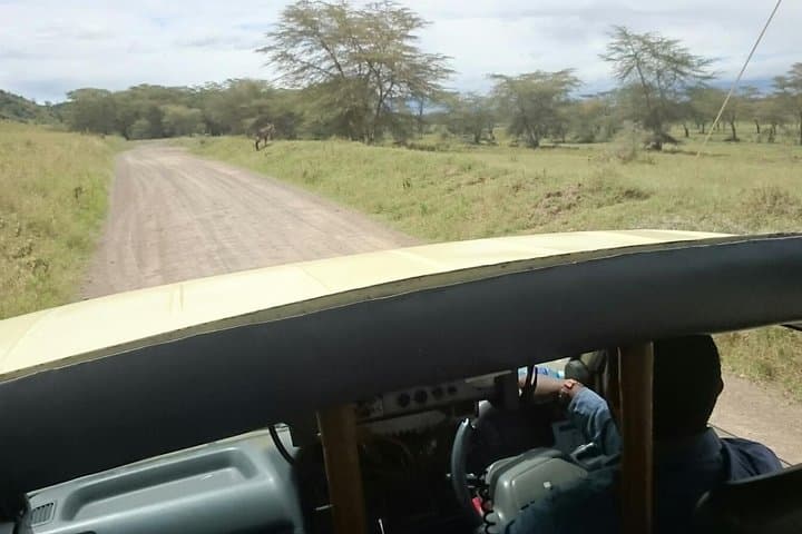 Lake Nakuru Park & Lake Naivasha Boat Ride