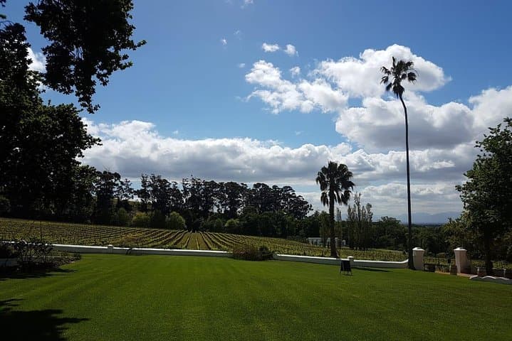 Private Tour with Wine Expert to Cape of Good Hope & Constantia Wine Region
