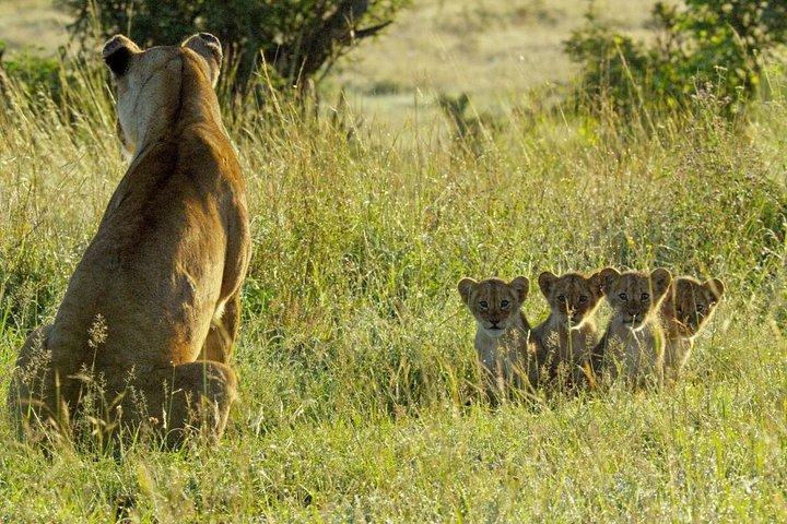 4 days safari in Tanzania