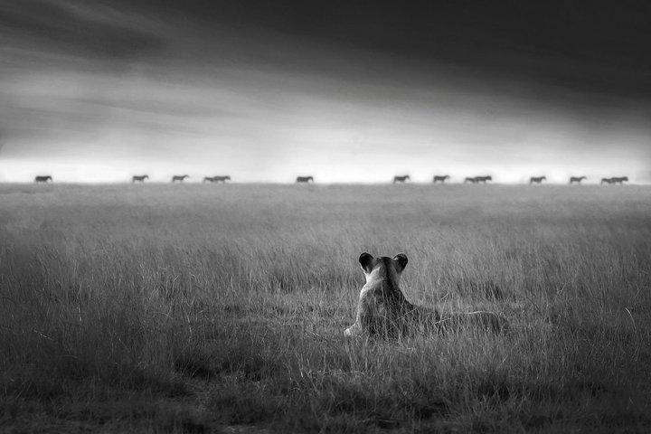 4 days safari in Tanzania