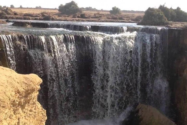 Valley of Whales and Wadi El Rayan Water Falls Day Tour from Cairo