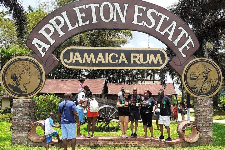 Pelican Bar south coast experience, Appleton Rum Tour and YS Falls