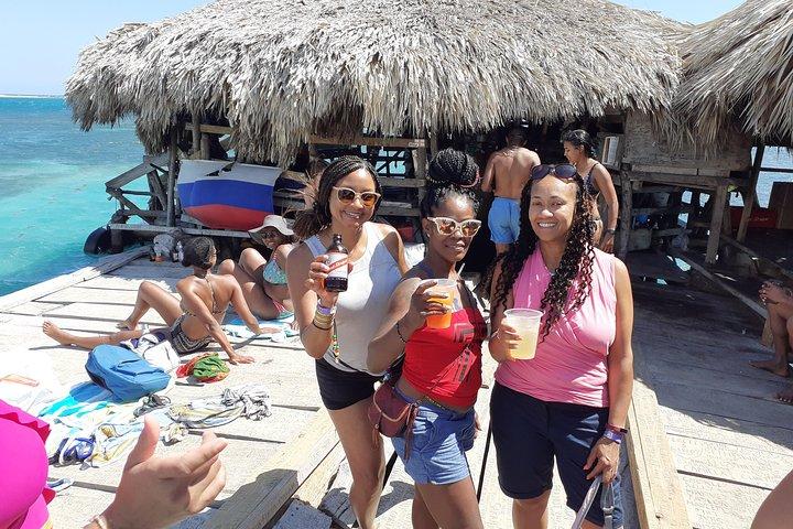 Pelican Bar south coast experience, Appleton Rum Tour and YS Falls