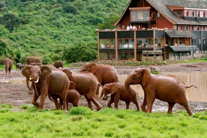 8 Days 7 Nights Luxury Safari By Jeep (minimum 2 persons)