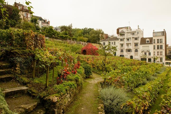 Montmartre Self-Guided Audio Tour: More Than Meets the Eye